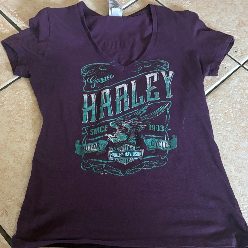 Harley-Davidson Purple Tee with Teal Graphic